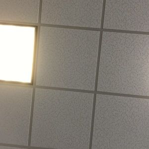 Meet your Posher, Mae lynn